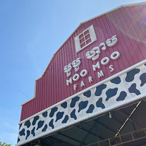 【動画】カンボジア初の酪農農場「モーモーファームズ」