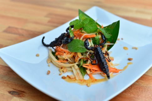 Scorpion Salad