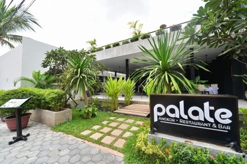 Palate (3)