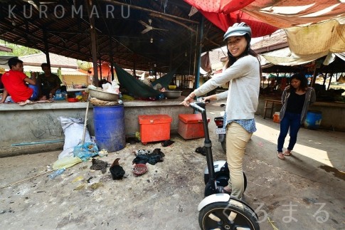 Segway (111)