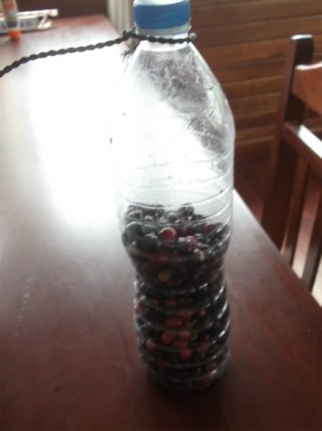 DSCF2409