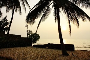 IMG_86791-300x199