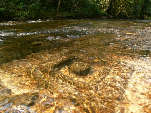 Linga 1000 (Phnom Kulen) (106)