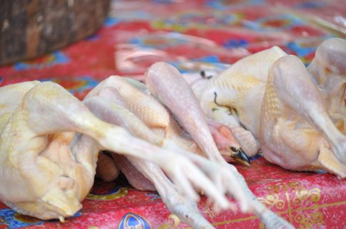 DSC_0006_resize