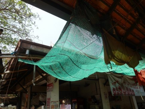 Tarf-cambodia (4)