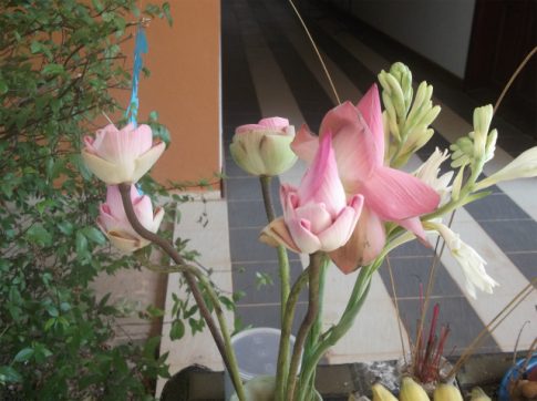 DSCF3058