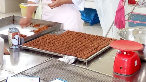 焼成前